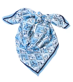 Hot Carolina Gameday Scarf In Light /Navy Scarves