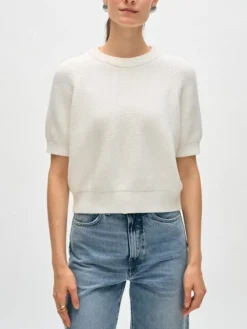 New Cotton Sweater Shirt In Sweaters